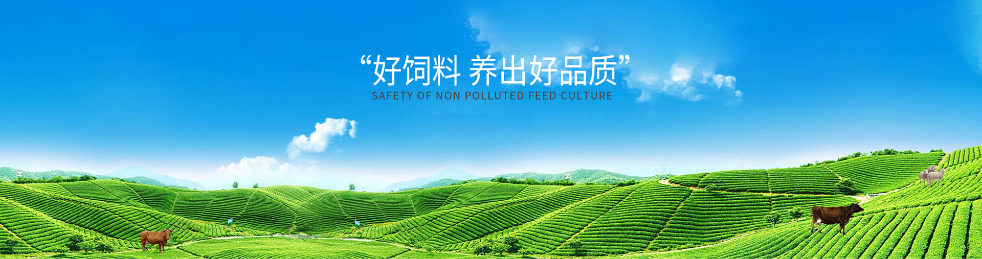 风水大师培训班